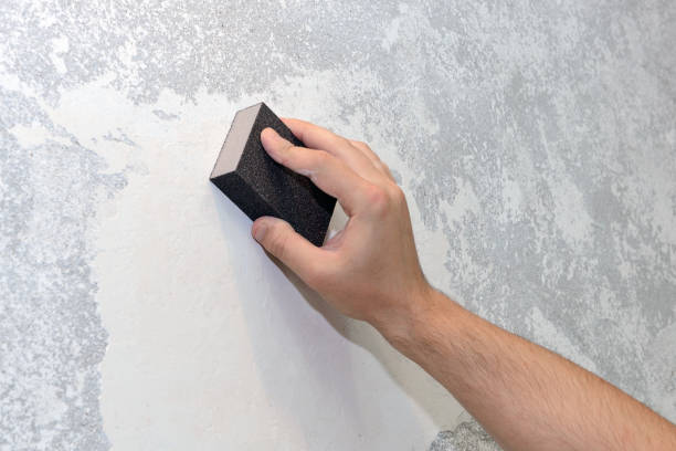 Best Mold Remediation for Healthcare Facilities  in El Cenizo, TX