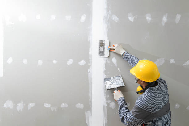 Best Mold Prevention Services  in El Cenizo, TX
