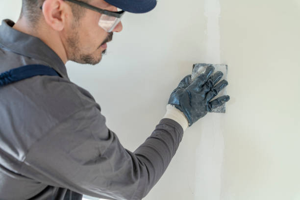 Best Mold-Related Health Consultation  in El Cenizo, TX