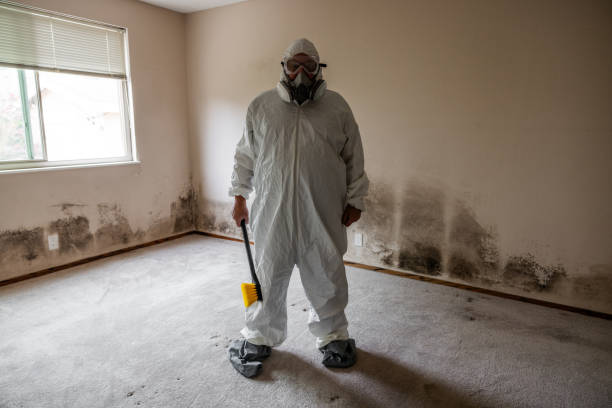 Best Dehumidification Services  in El Cenizo, TX