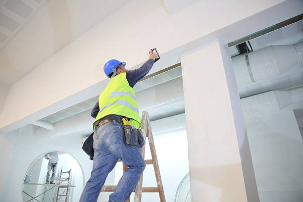 Best Mold Documentation for Insurance Claims  in El Cenizo, TX